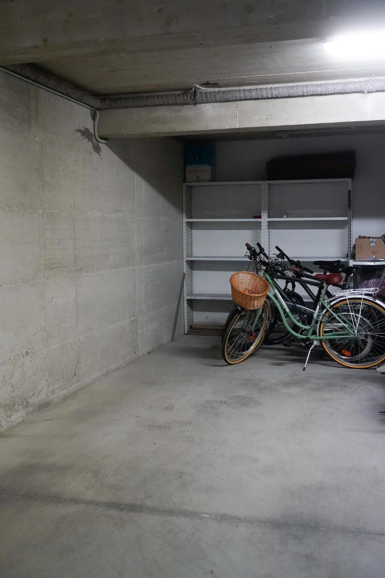 Dandelion Apartment Rovinj-Free Bikes Exterior photo