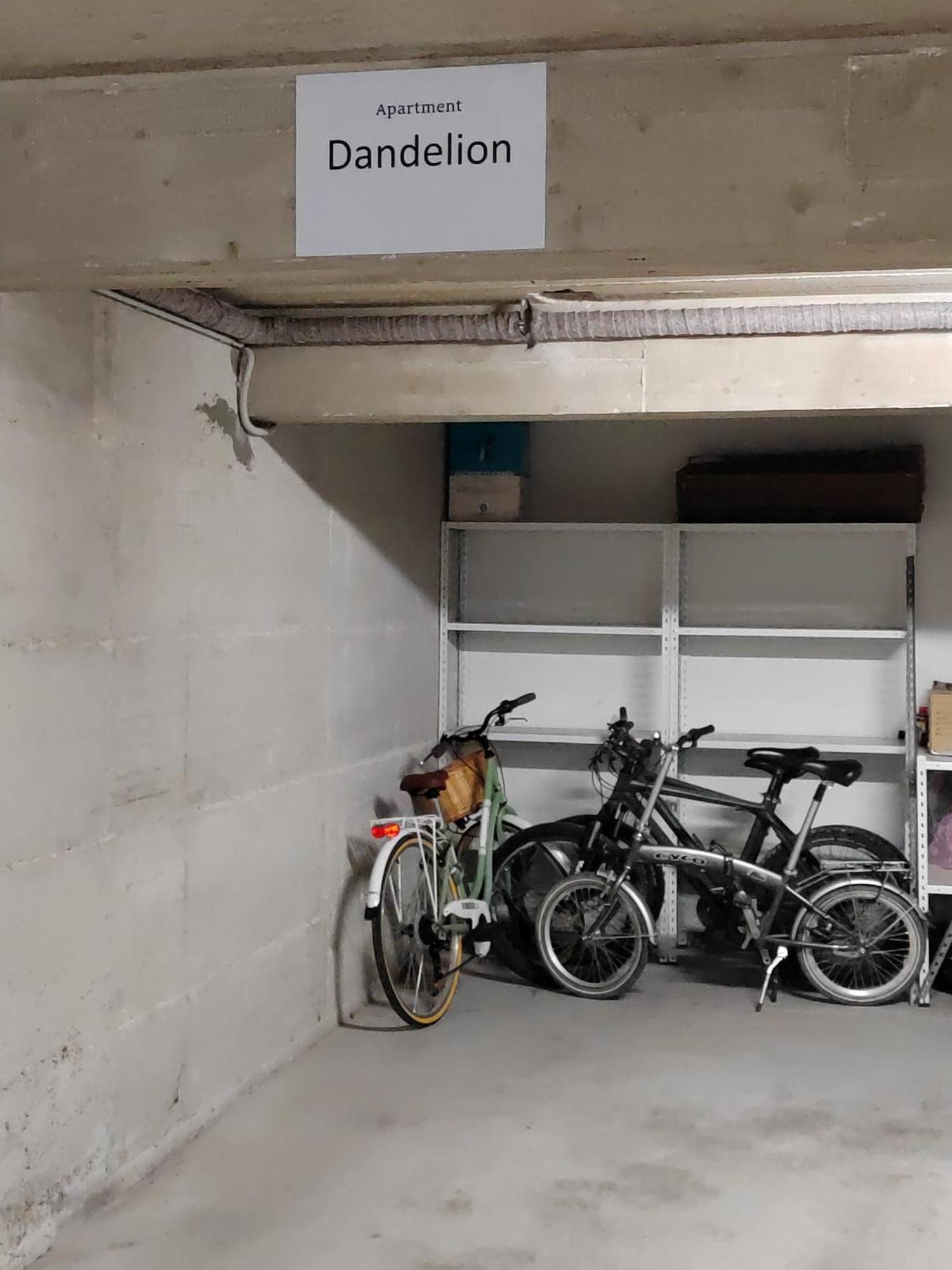 Dandelion Apartment Rovinj-Free Bikes Exterior photo